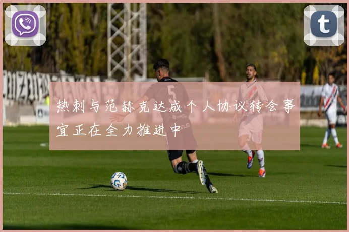 热刺与范赫克达成个人协议转会事宜正在全力推进中